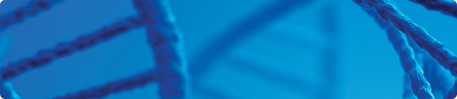 banner_option3