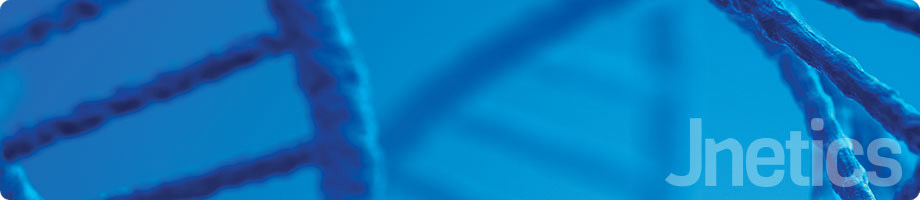 banner_option4